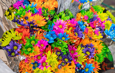 des fleurs colorées à la Plaza de Mercado de Paloquemao, Bogota, Colombie