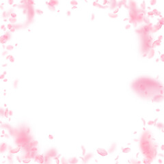 Obraz na płótnie Canvas Sakura petals falling down. Romantic pink flowers vignette. Flying petals on white square background