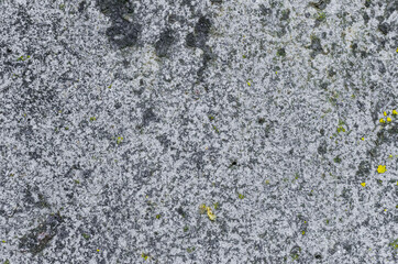 Gray concrete wall, background photo texture, front view