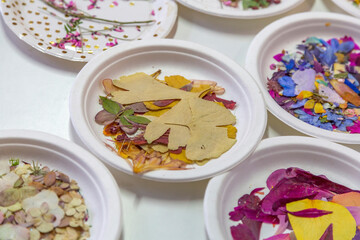 Dry herbs and flower petals for design, decor and creativity