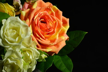 bouquet of red and yellow roses on black background
