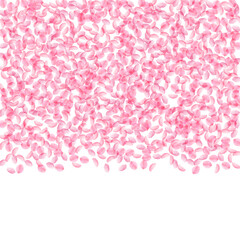 Fototapeta na wymiar Sakura petals falling down. Romantic pink silky small flowers. Thick flying cherry petals. Top gradi