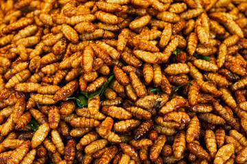 Asian food market. A counter with fried insects