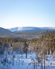 Swedish mountains in the winter