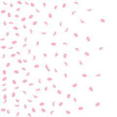 Sakura petals falling down. Romantic pink silky small flowers. Sparse flying cherry petals. Left gra