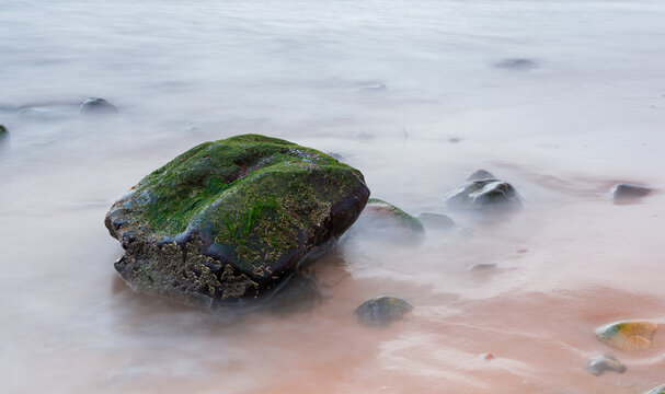 green moss and mist. misty appearence on the seaside rock with misty dreamy feeling effect of the long exposure.