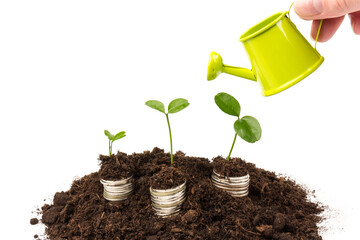 Gold coins in the soil with a young plant. The concept of money growth.