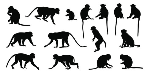 various macaque silhouettes on the white background