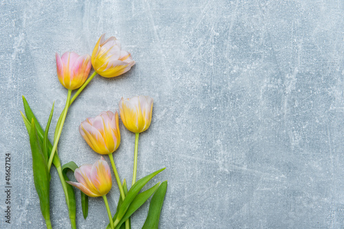 Colorful tulips on concrete background. Copy space for text. Mother's day concept