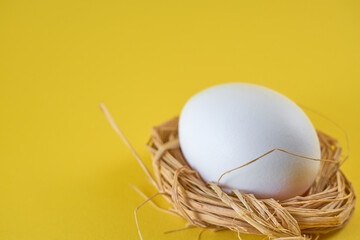 A white egg in a nest on a yellow background.