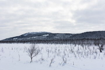 Fototapeta premium Swedish mountains in the winter