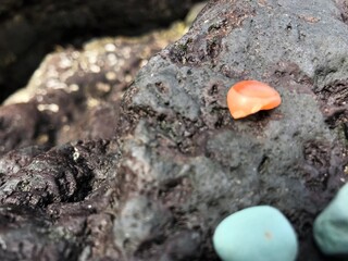Sea glass found along the shores in Moroni Island