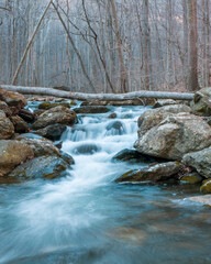 Waterfall rocks in the forest