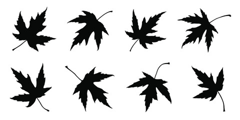 various maple silver silhouettes on the white background