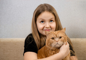 Attractive little girl with red fluffy cat on a sofa in a room. Focus on the cat.