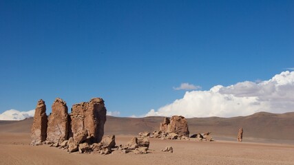 Salar de Tara Altiplano Chile Region de Atacama San Pedro de Atacama Tour