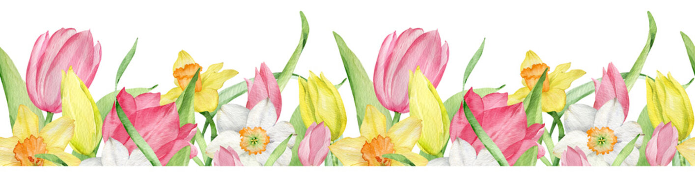 Watercolor seamless border of pink and yellow tulips and daffodils. Easter floral border.