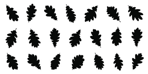 various oak white leaf silhouettes on the white background