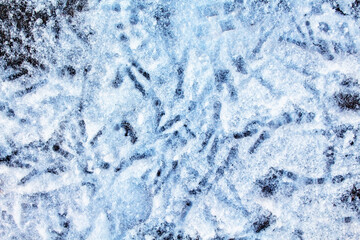 Chaotic Birds' footprints in the snow. Close-up. Top view. 