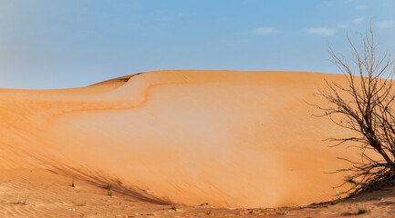 Desert landscapes different parts of the world
