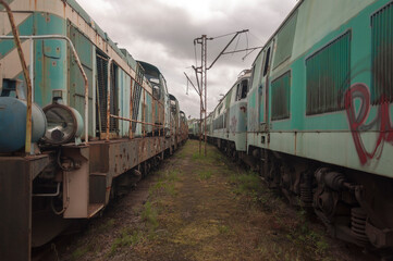 Fototapeta premium Abandoned train graveyard in Łódź, Poland