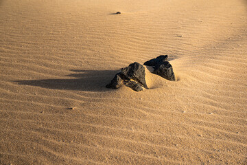 Fototapeta na wymiar Desert landscapes different parts of the world