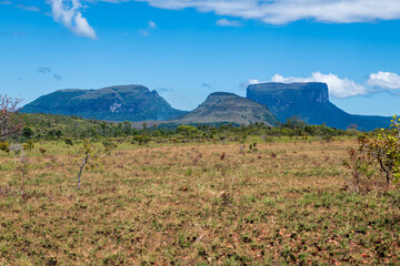 Panorama  landscape of Canaima National Park (Bolivar, Venezuela).