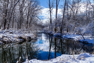 Fototapeta na wymiar Winter Reflection