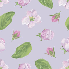 Vector seamless pattern with apple blooming spring flowers on a violet background