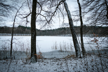 Brzeg więcborskiego jeziora zimą