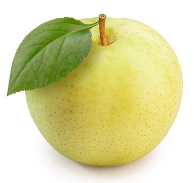 Fresh Asian Chinese White Pear isolated on white, Yellow oriental pear or Nshi pear fruit, isolated on white background With clipping path.
