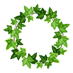 Fototapeta premium Vector wreath with green ivy (hedera helix) leaves.
