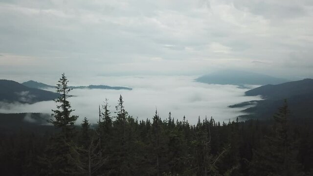 fog enveloped the mountains evening mountains clouds under the mountains forest