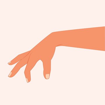 Hand making gesture and touching something. Reach by hand. Realistic grabbing hand. Manicured female hand stretching palm down. Cosmetic care for hands. Hand leaning down Realistic Vector illustration