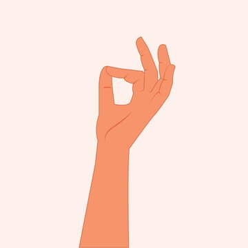 Hand gesture for delicious food isolated vector illustration. Italian hand gesture. Hand ok sign on white background. Close up Hand Showing Zero, Okay, Perfect Gesture Flat Realistic Design. eps 10
