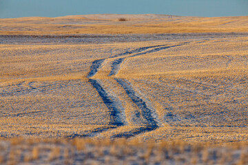 Fototapeta premium Prairie Winter Scene