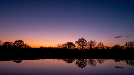 Absolutely peaceful orange sunset with tree silhouette and reflection on the water