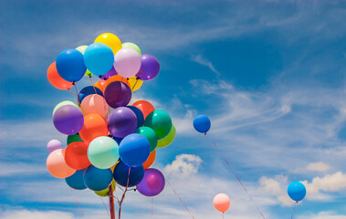 A bunch of colorful balloons outside on a sunny day