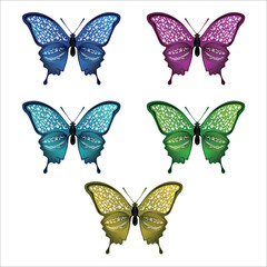 Collection of colorful butterflies. Vector