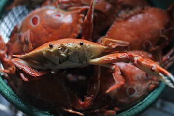 The crab in the container is ready to cook