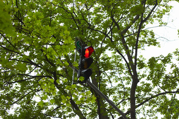 Traffic light with red light on, signal open to go ahead. Sparkly Traffic light over urban...