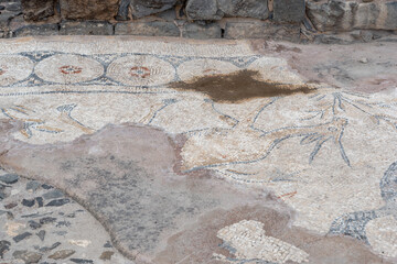 Ibex mosaic in the Byzantine Agora area of Beit She`an National Park in Israel