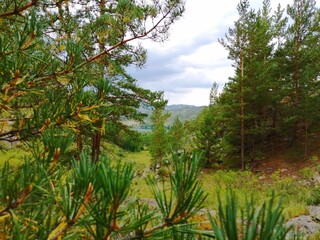 Wonderful Green World