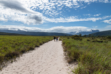Panorama  landscape of Canaima National Park (Bolivar, Venezuela).