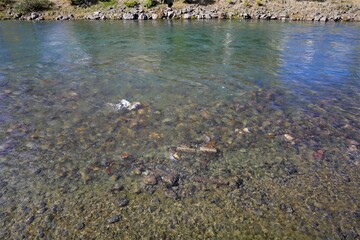 water