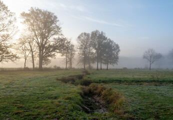 Misty Meadows in the Morning