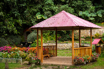 Gazebo in the jungle