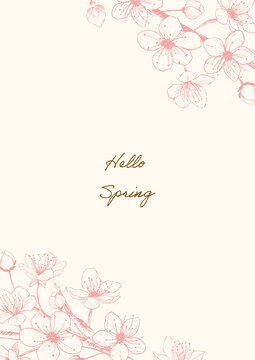 hand drawn cherry blossoms flower pink frame02, spring vector design for message card.