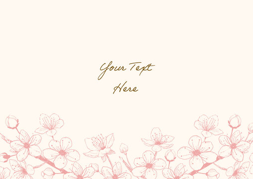 hand drawn cherry blossoms flower pink frame03, spring vector design for message card.
