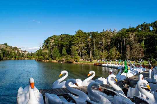 Pedalinhos de Cisne no Lago Negro em Gramado, Brasil